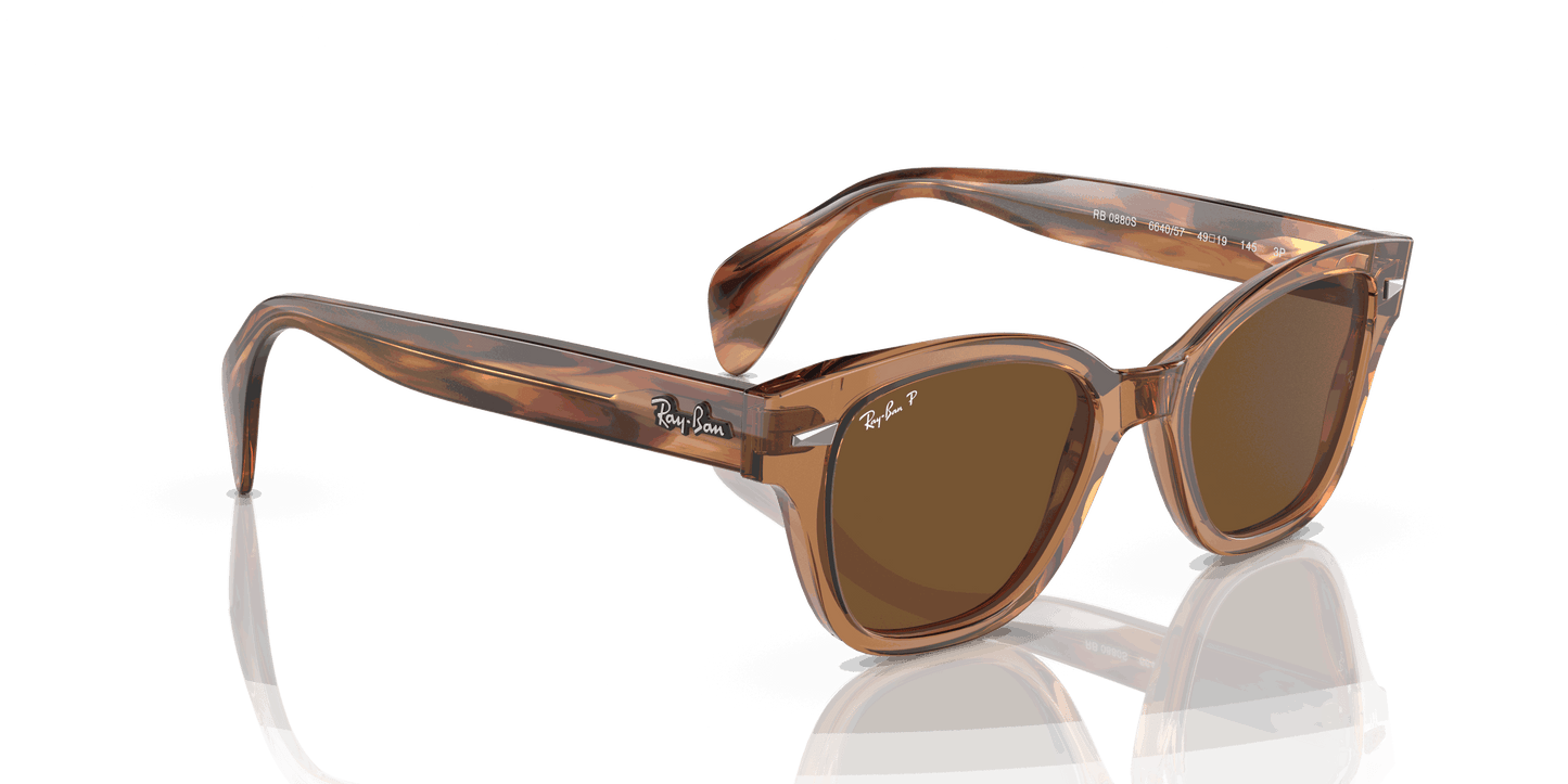 [Brown Lenses, Polished Transparent Brown Frame]