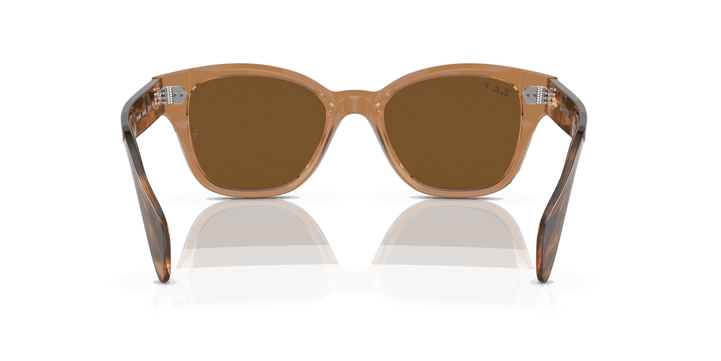 [Brown Lenses, Polished Transparent Brown Frame]