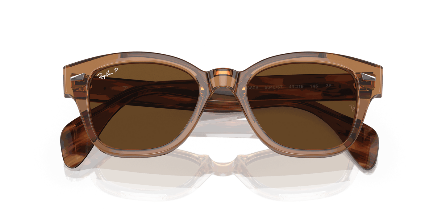 [Brown Lenses, Polished Transparent Brown Frame]