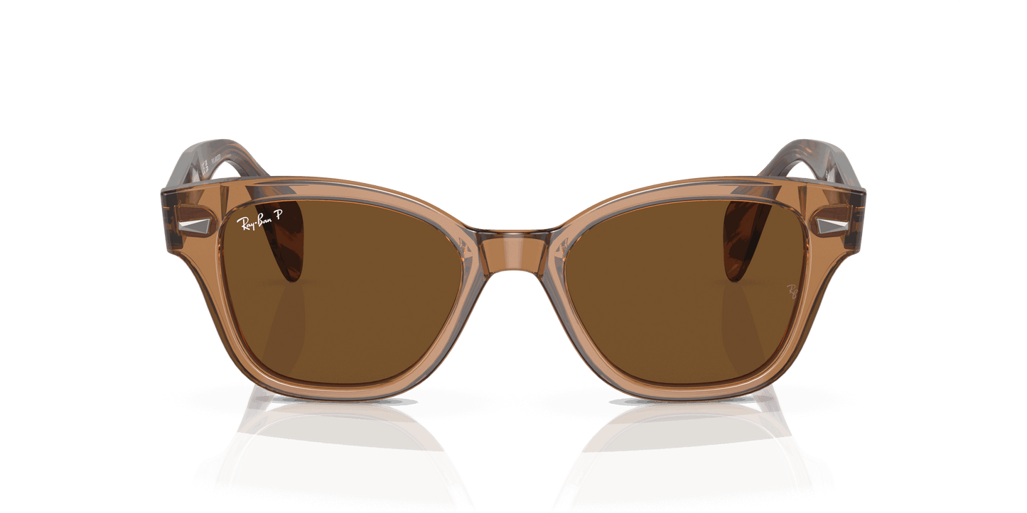 [Brown Lenses, Polished Transparent Brown Frame]