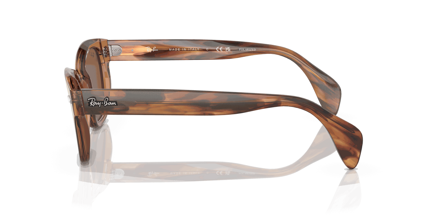 [Brown Lenses, Polished Transparent Brown Frame]