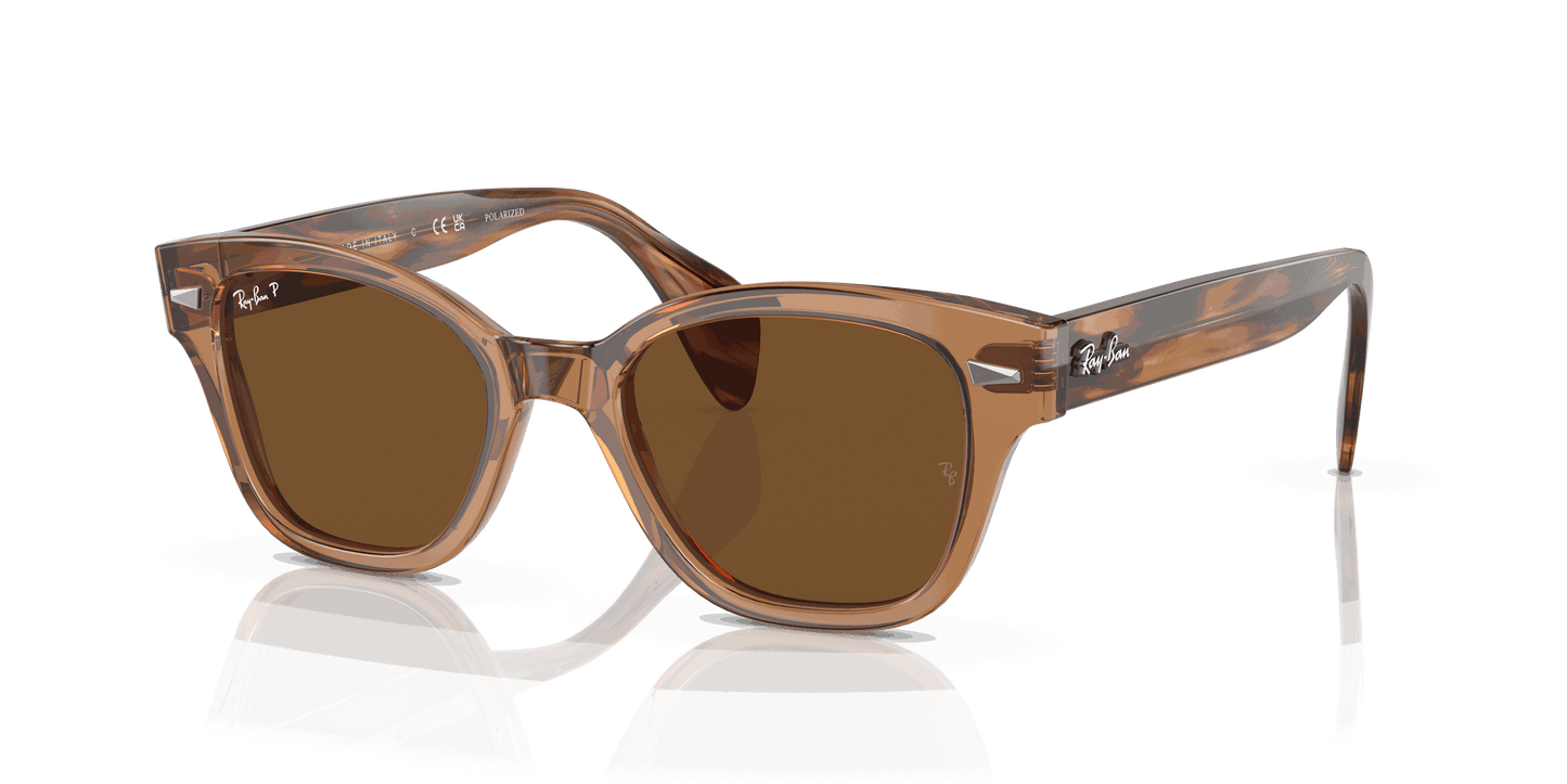 [Brown Lenses, Polished Transparent Brown Frame]