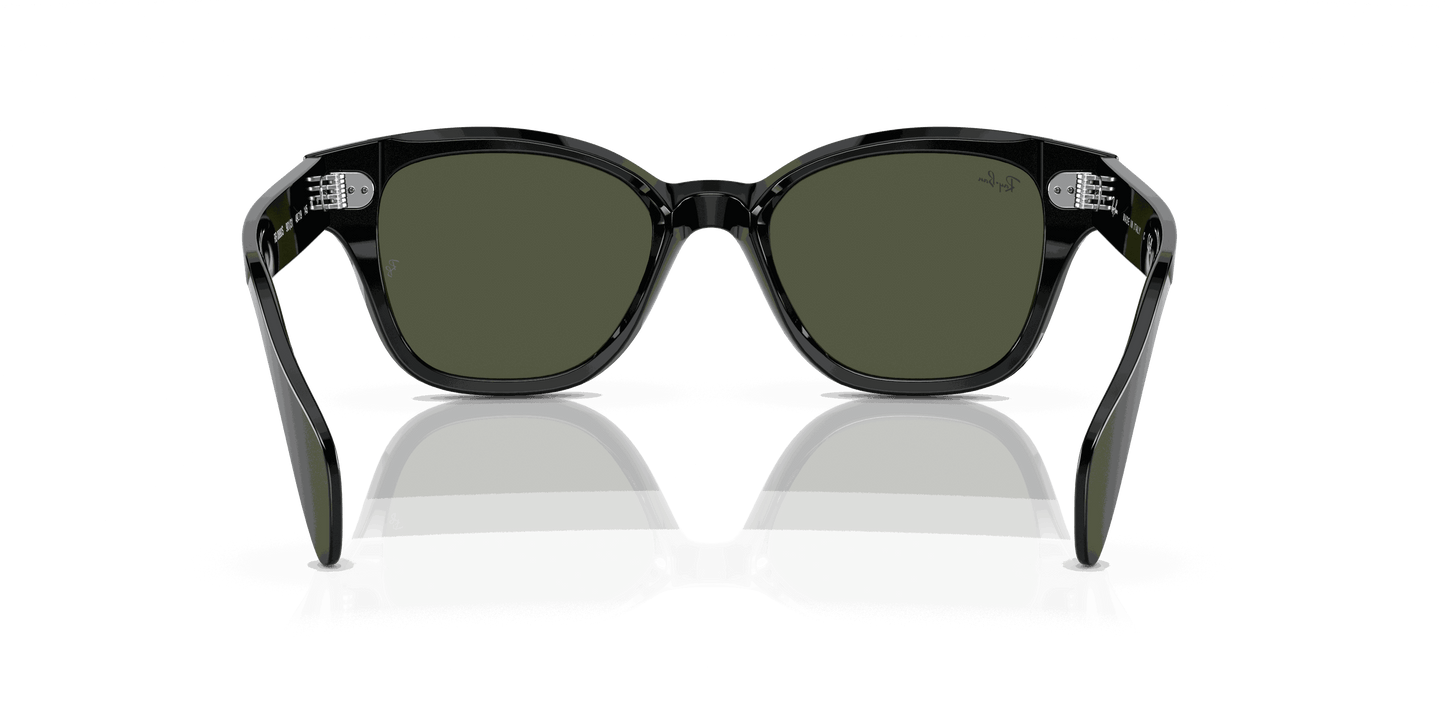 [Green Lenses, Polished Black Frame]