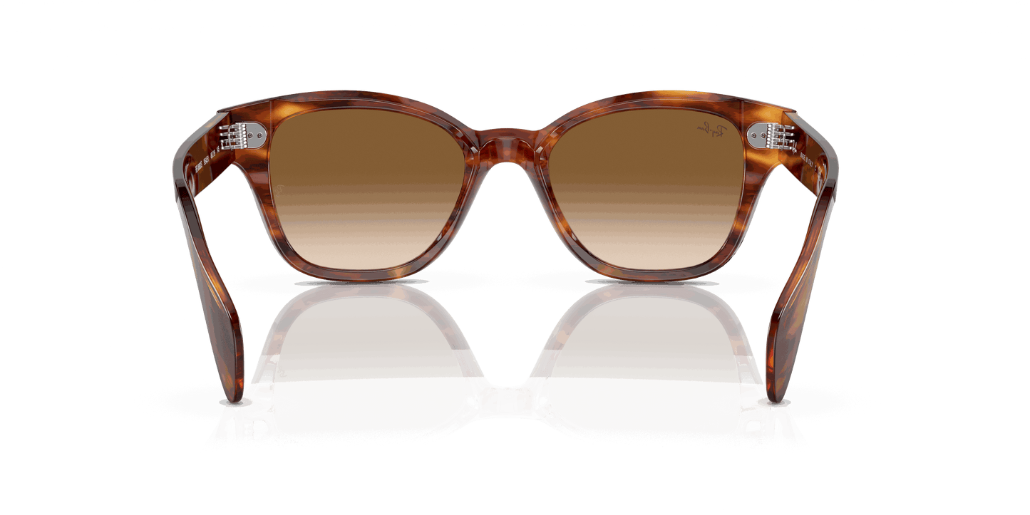 [Brown Lenses, Polished Striped Havana Frame]