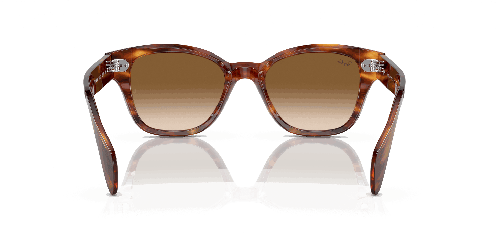 [Brown Lenses, Polished Striped Havana Frame]