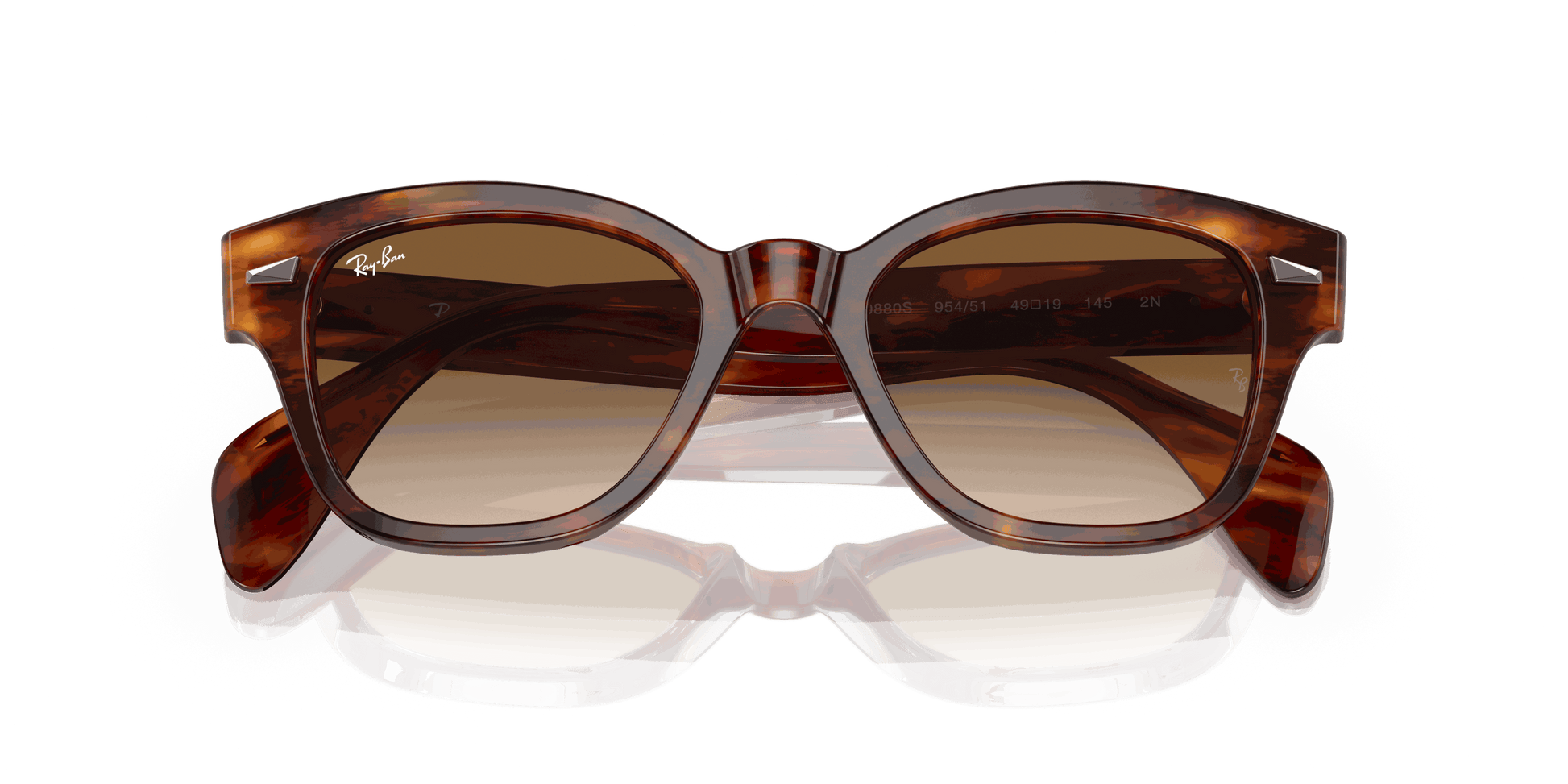 [Brown Lenses, Polished Striped Havana Frame]