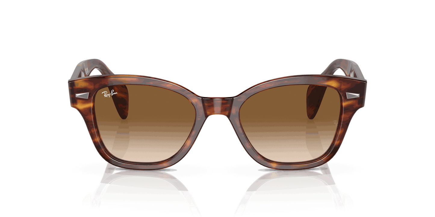 [Brown Lenses, Polished Striped Havana Frame]