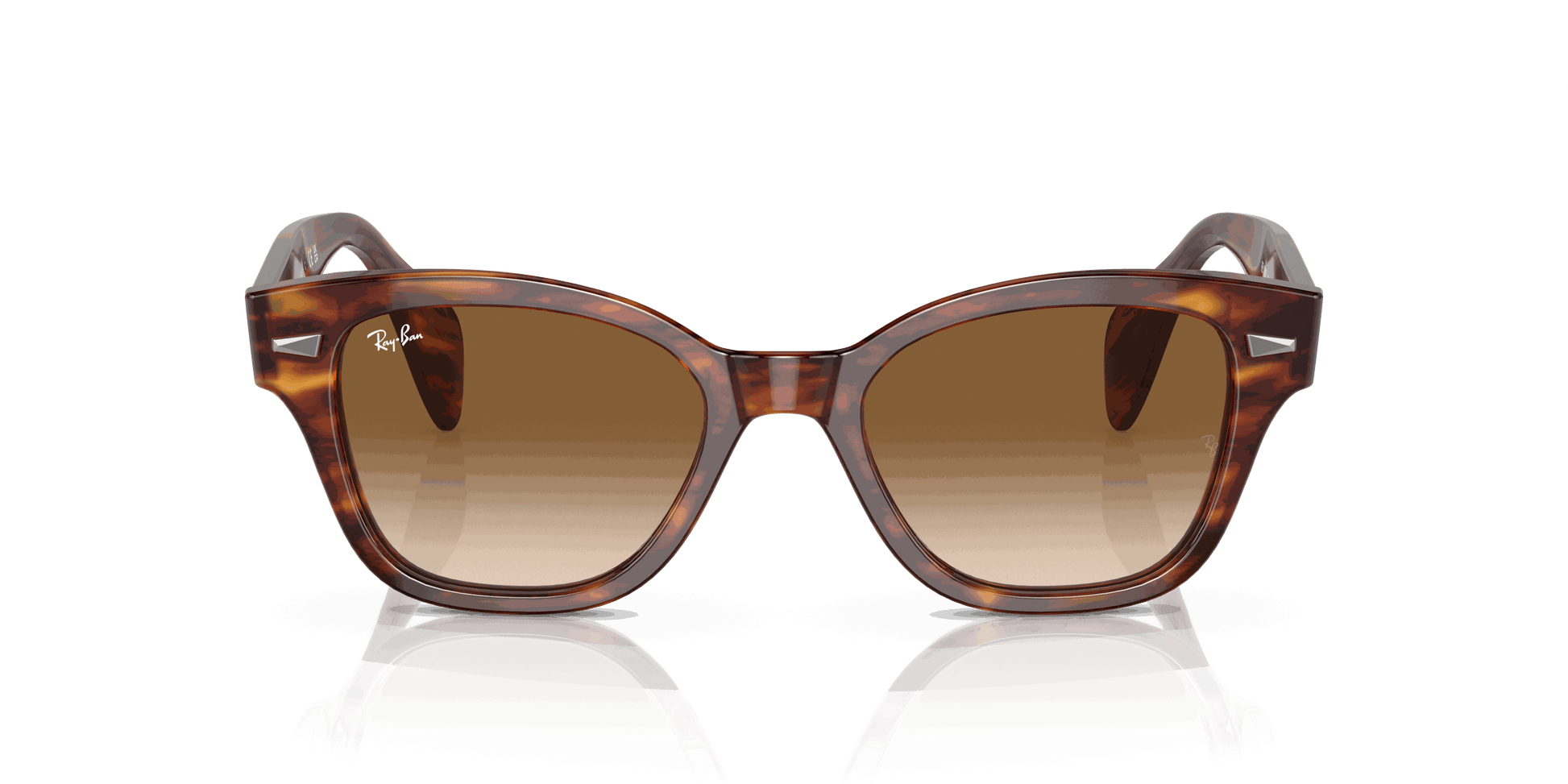 [Brown Lenses, Polished Striped Havana Frame]