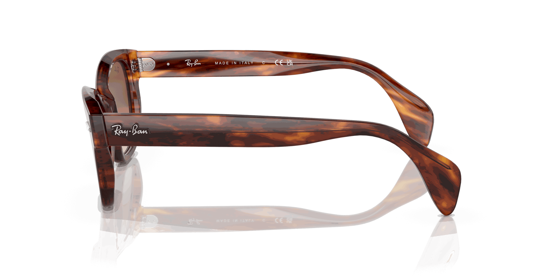 [Brown Lenses, Polished Striped Havana Frame]