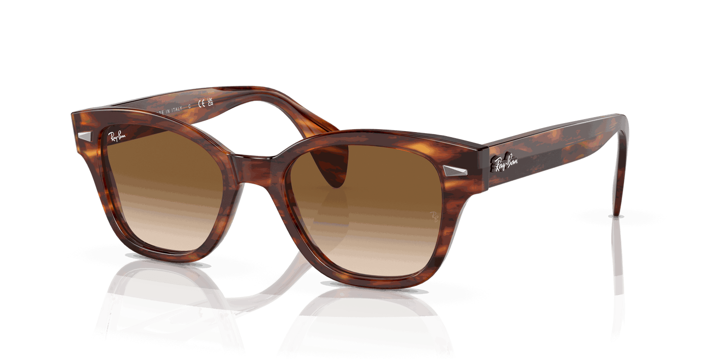 [Brown Lenses, Polished Striped Havana Frame]