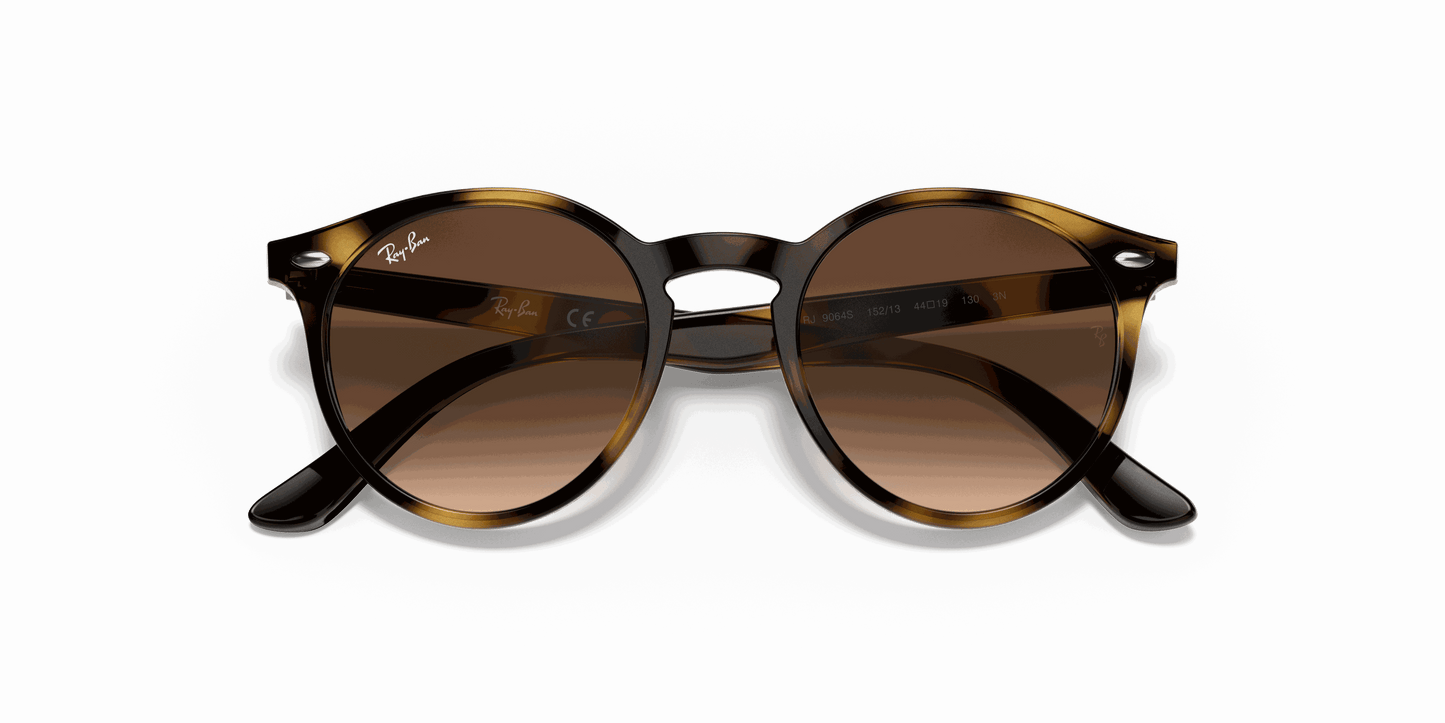 [Dark Brown Lenses, Polished Havana Frame]