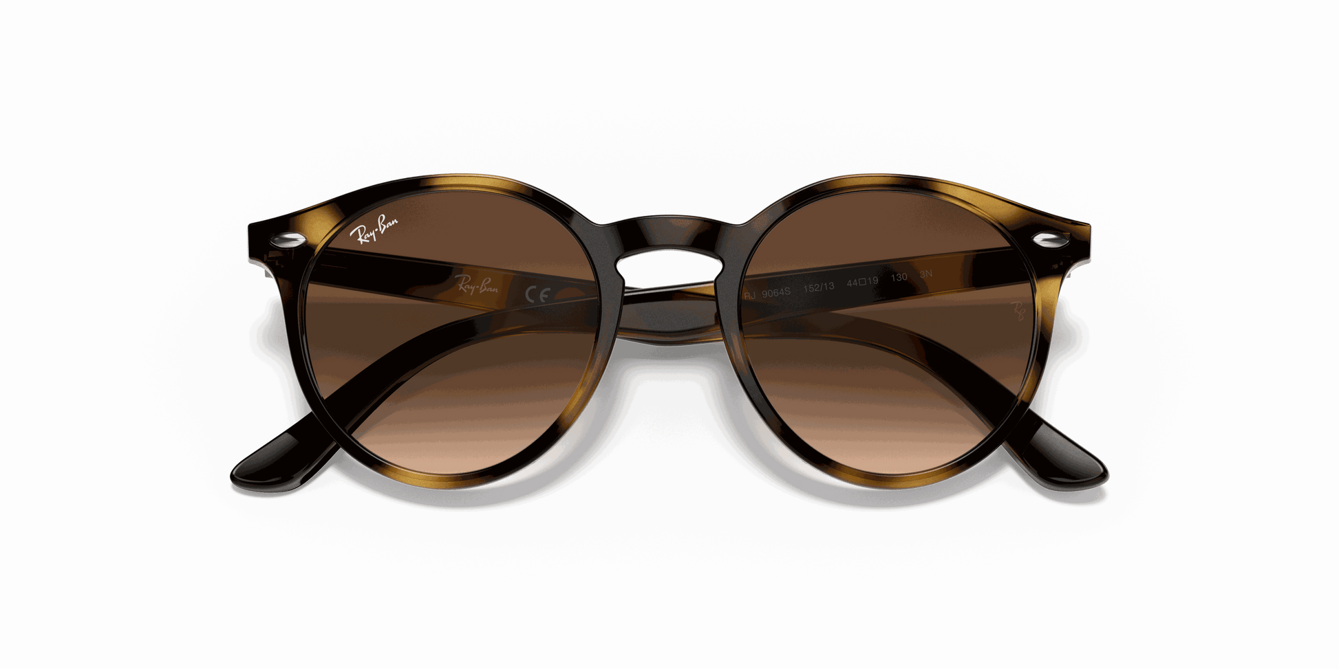 [Dark Brown Lenses, Polished Havana Frame]
