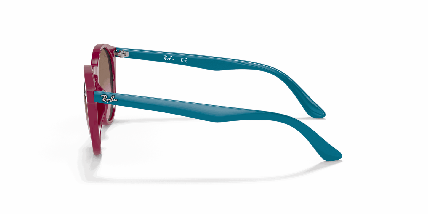 [Violet Gradient Brown Lenses, Polished Fuchsia Fluo Frame]