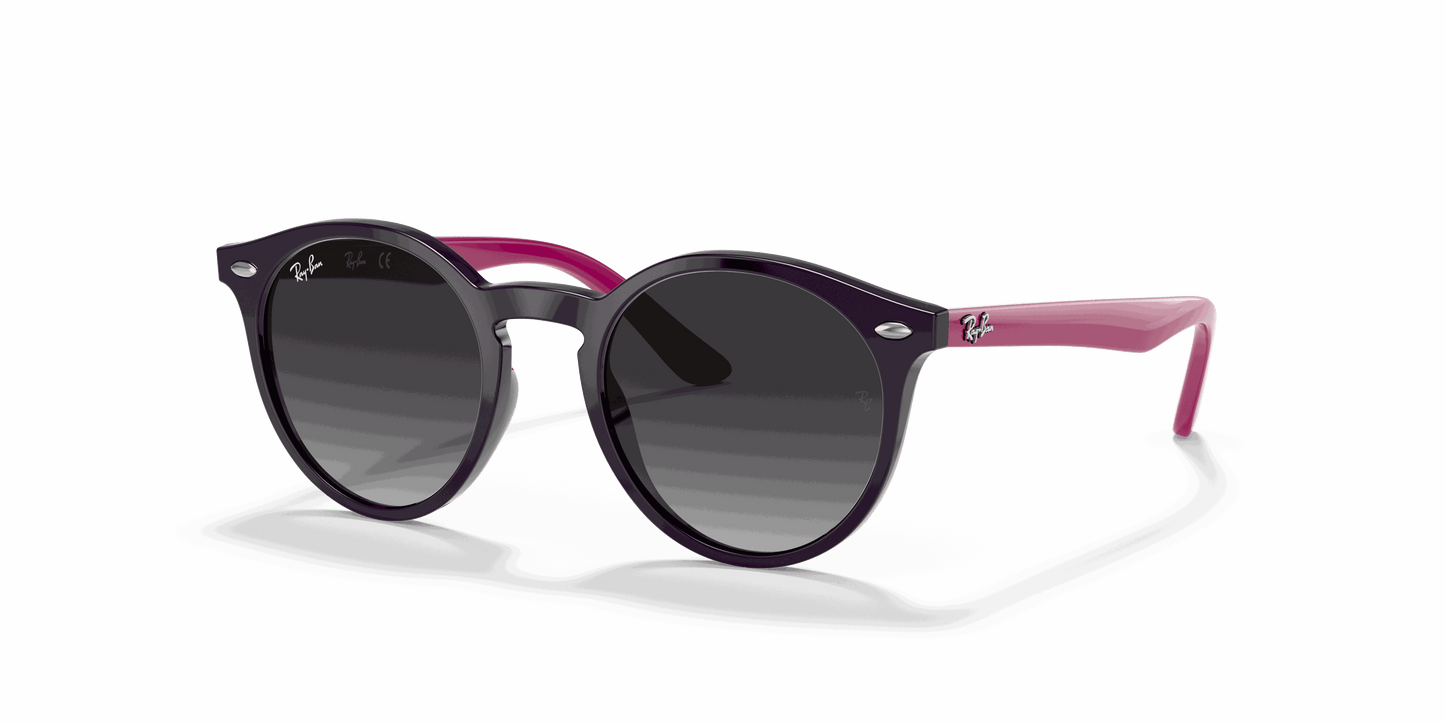 [Light Grey Gradient Dark Grey Lenses, Polished Violet Frame]