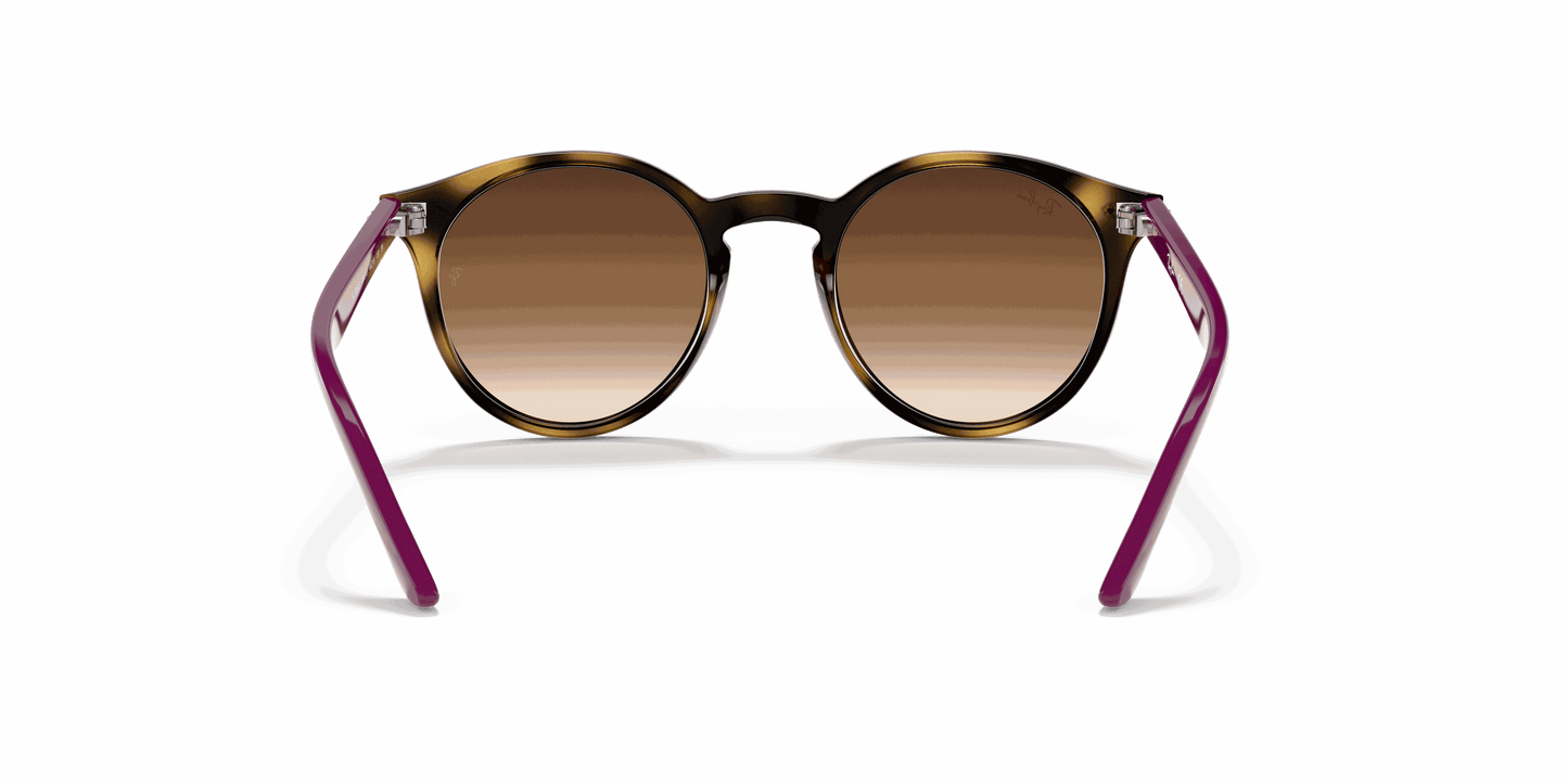 [Brown Gradient Dark Brown Lenses, Polished Havana Frame]