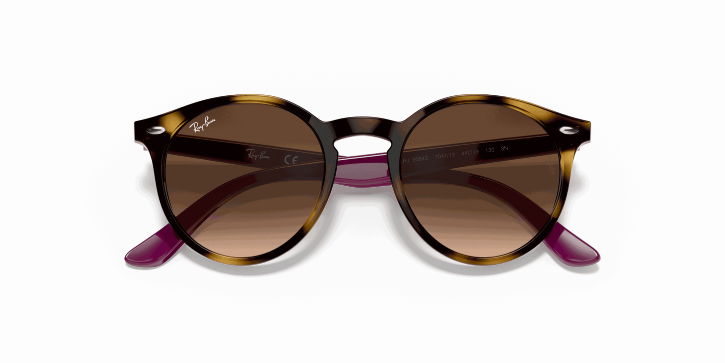 [Brown Gradient Dark Brown Lenses, Polished Havana Frame]