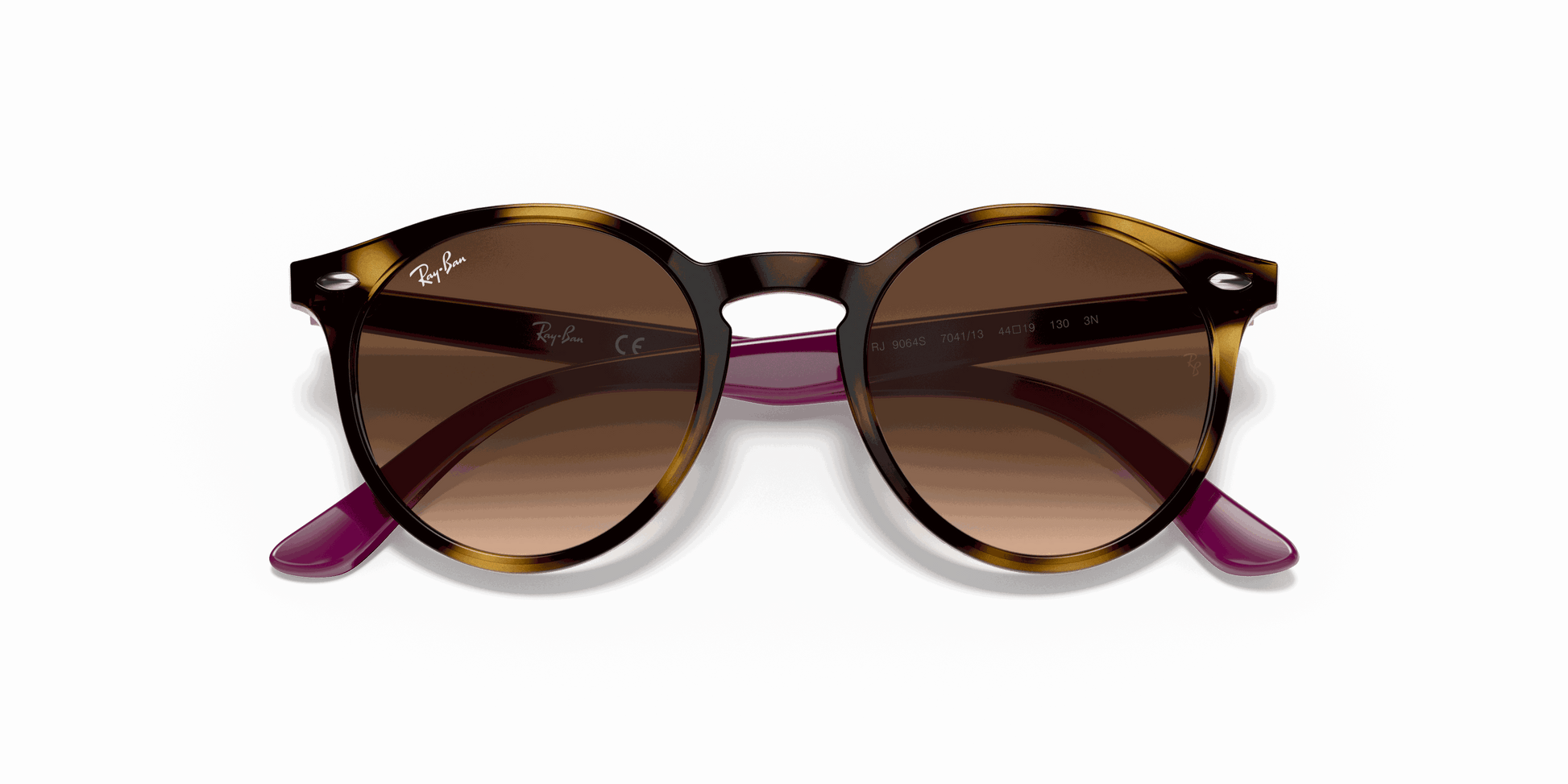[Brown Gradient Dark Brown Lenses, Polished Havana Frame]