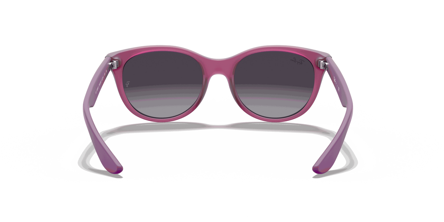 [Light Grey/Dark Grey Lenses, Matte Transparent Fuchsia Frame]