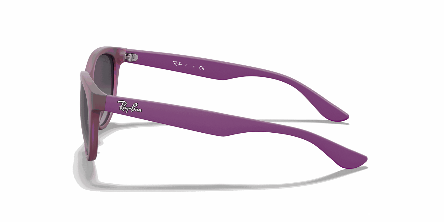 [Light Grey/Dark Grey Lenses, Matte Transparent Fuchsia Frame]