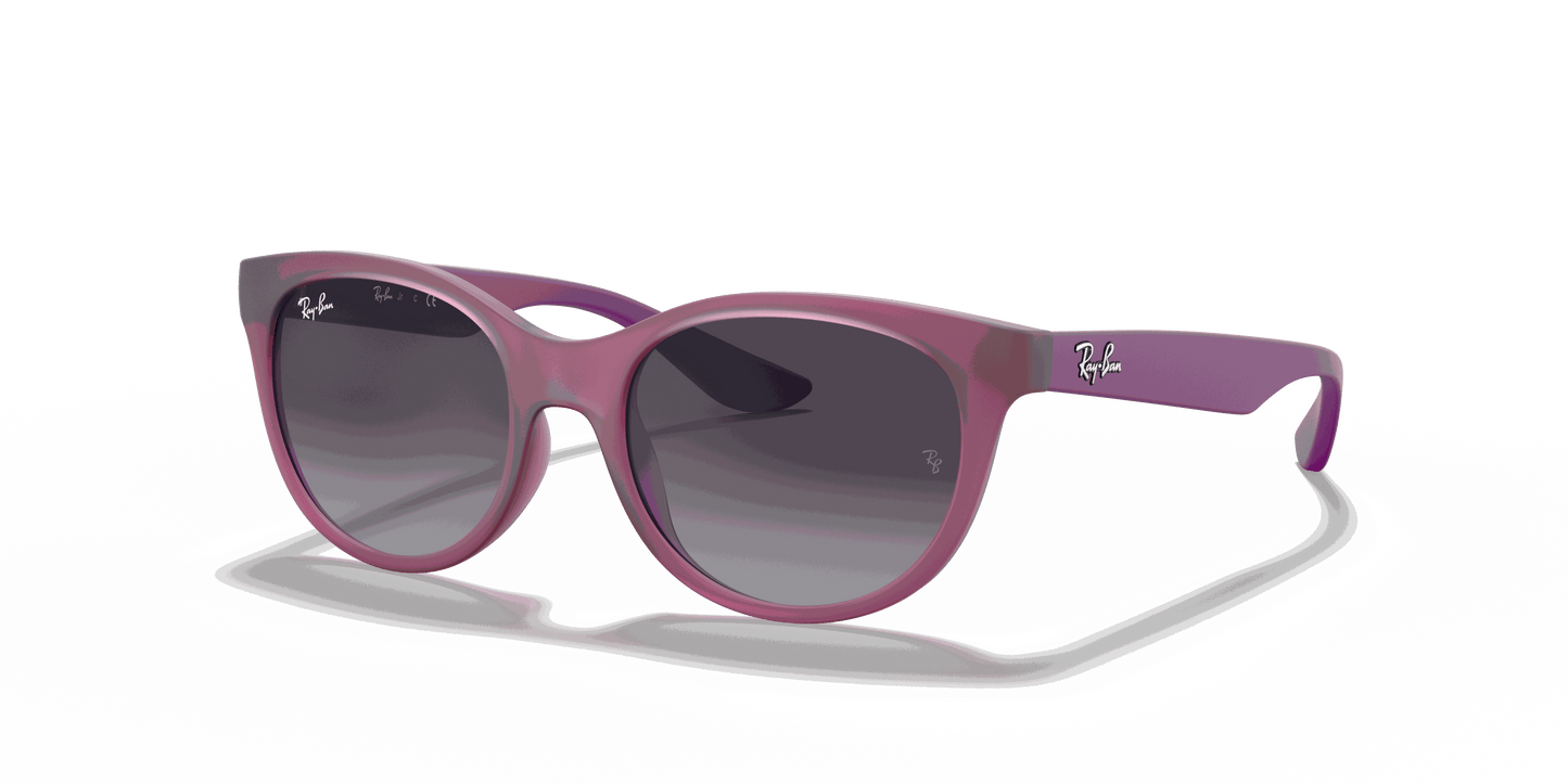 [Light Grey/Dark Grey Lenses, Matte Transparent Fuchsia Frame]