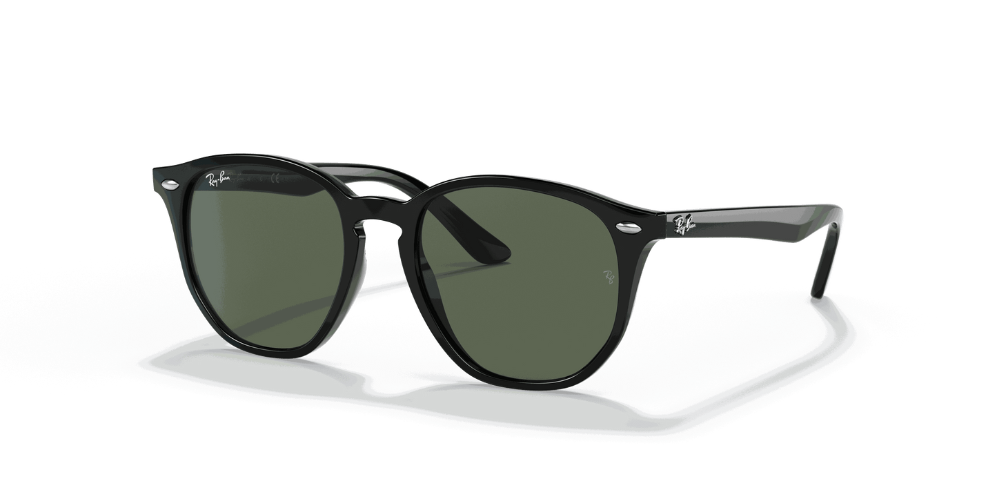 [Dark Green Lenses, Polished Black Frame]