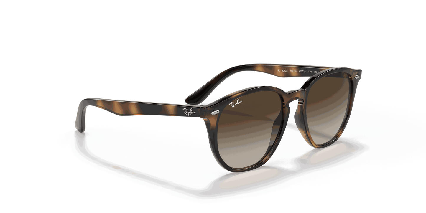 [Brown/Dark Brown Lenses, Polished Havana Frame]