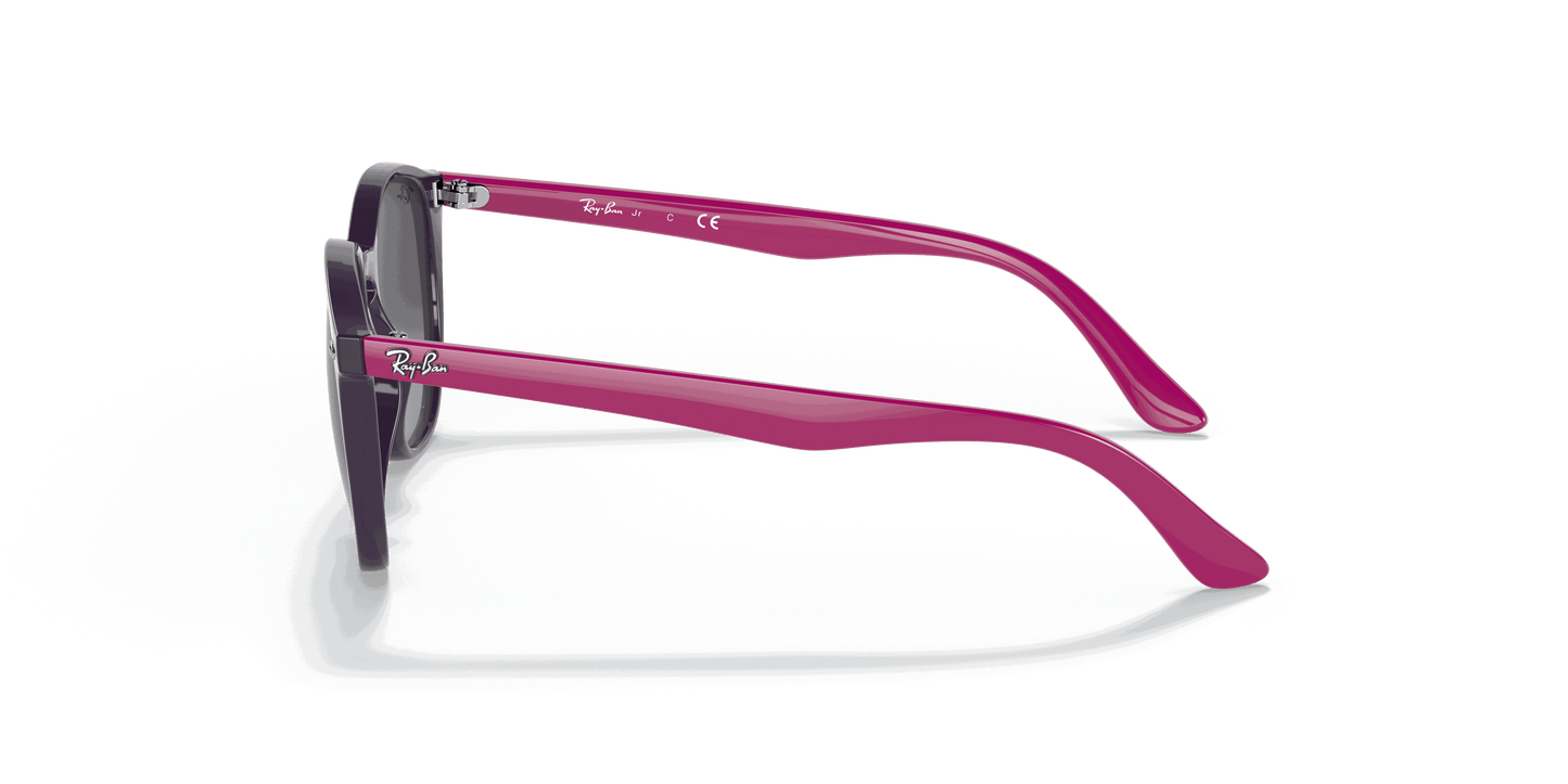 [Grey Gradient Lenses, Polished Violet Frame]