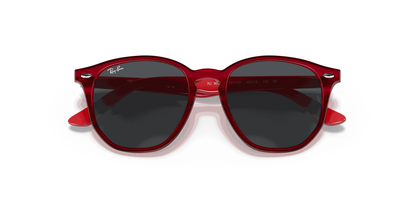 [Dark Grey Lenses, Polished Transparent Red Frame]