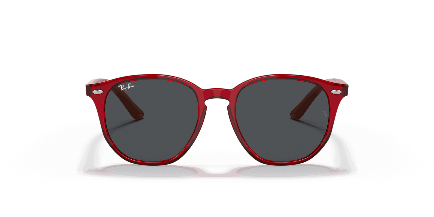 [Dark Grey Lenses, Polished Transparent Red Frame]