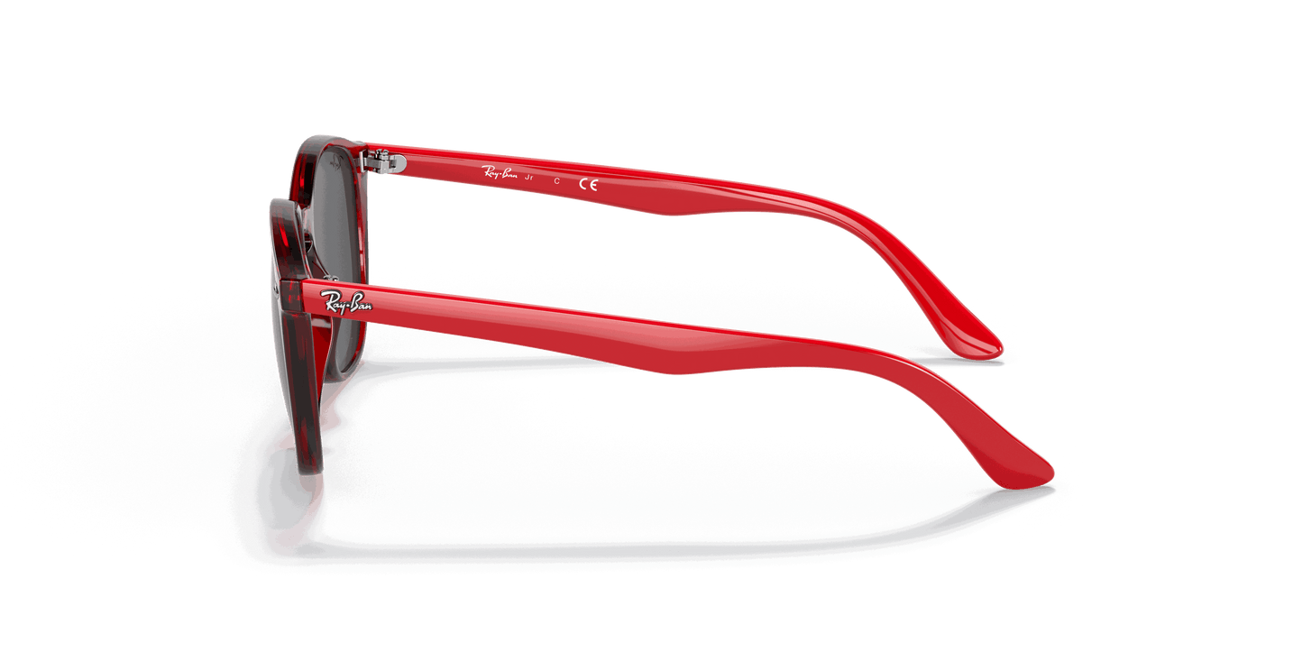[Dark Grey Lenses, Polished Transparent Red Frame]