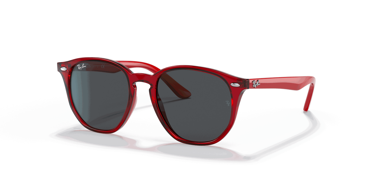 [Dark Grey Lenses, Polished Transparent Red Frame]