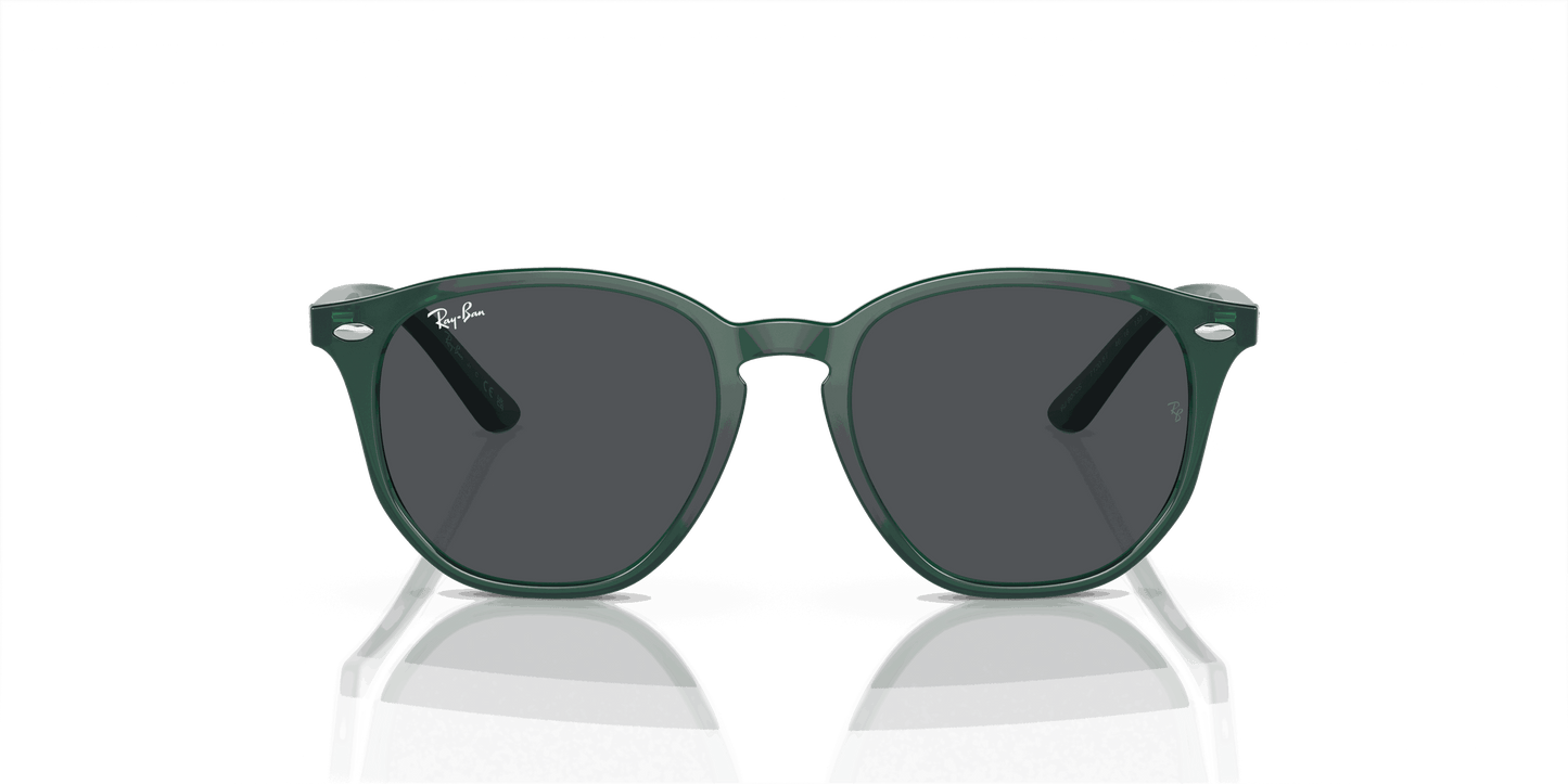 [Dark Grey Lenses, Polished Opal Green Frame]