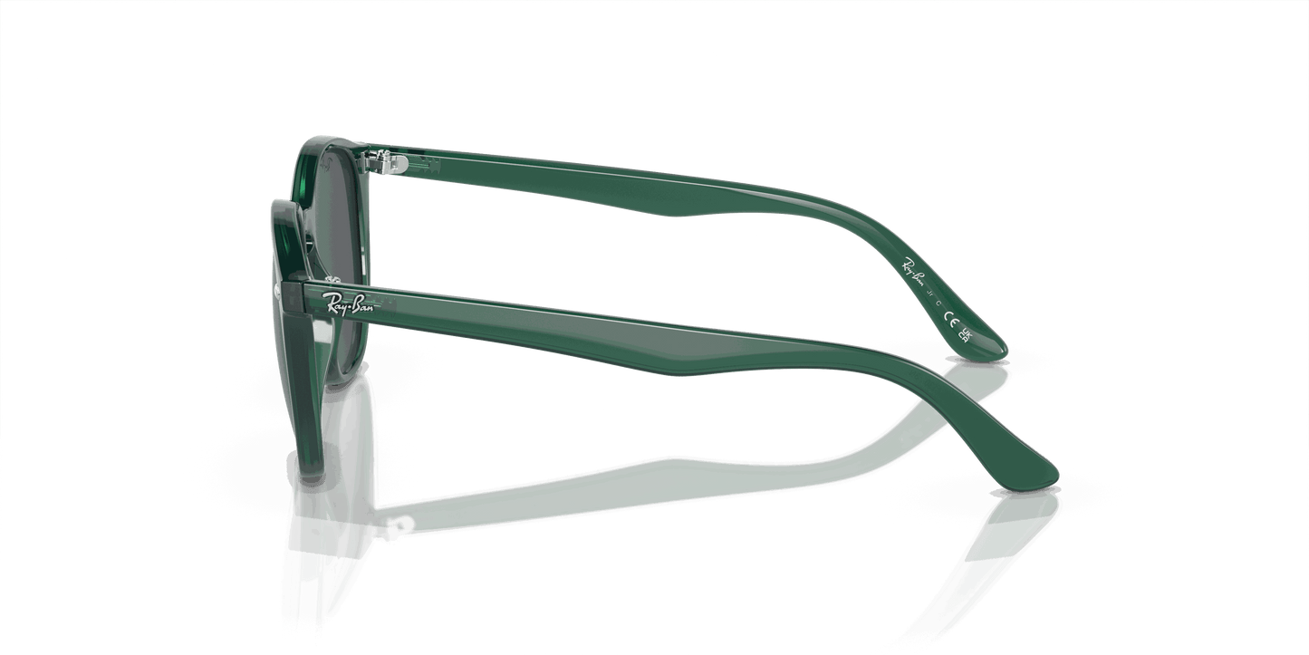 [Dark Grey Lenses, Polished Opal Green Frame]