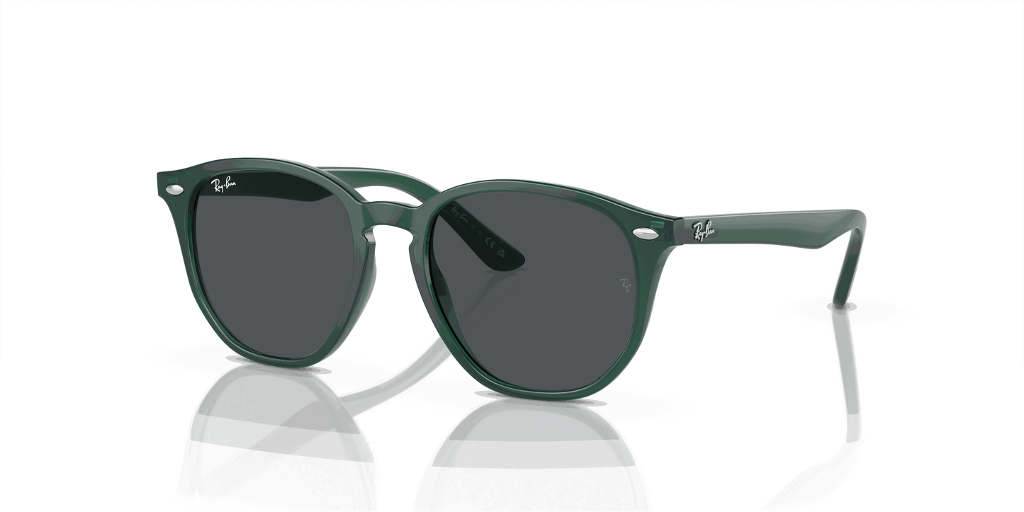 [Dark Grey Lenses, Polished Opal Green Frame]
