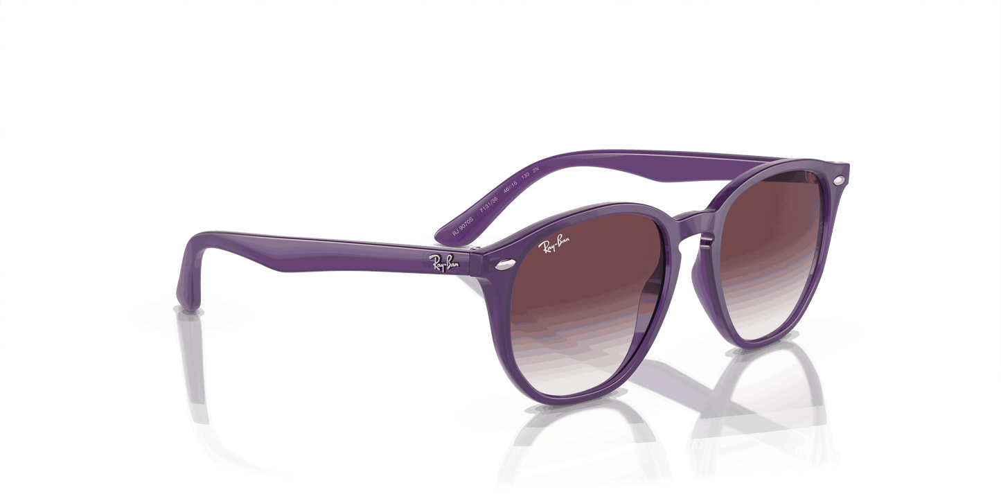 [Grey/Violet Lenses, Polished Opal Violet Frame]