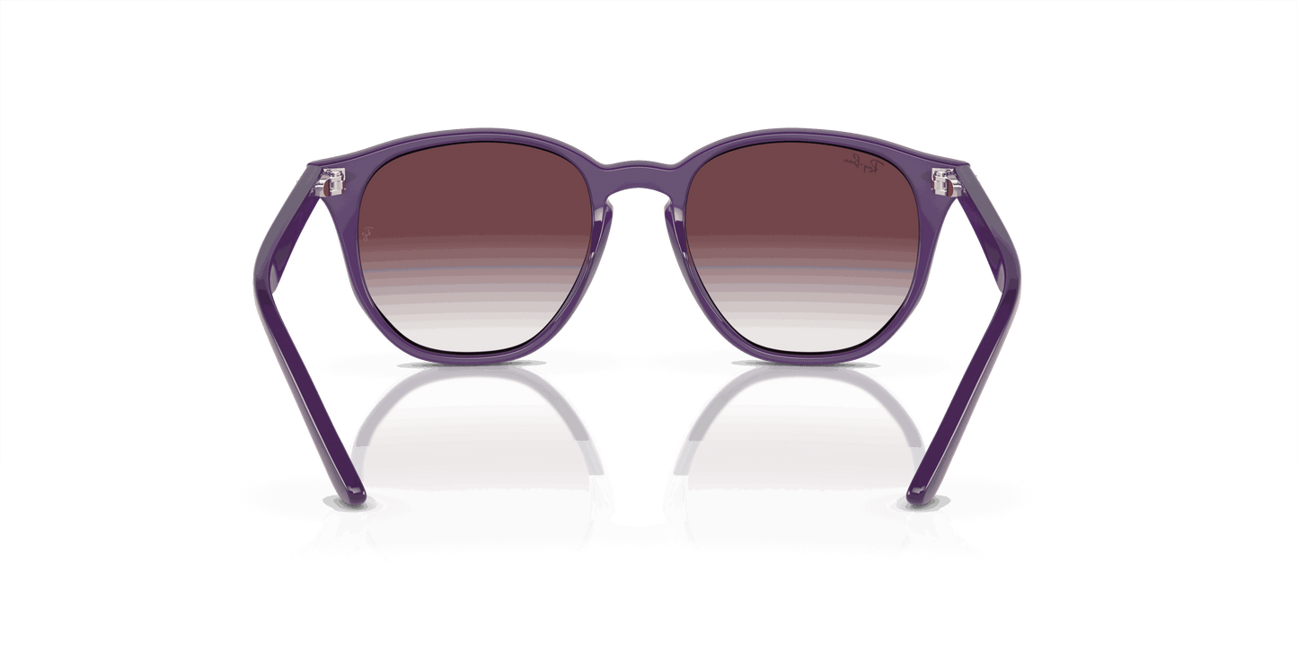 [Grey/Violet Lenses, Polished Opal Violet Frame]