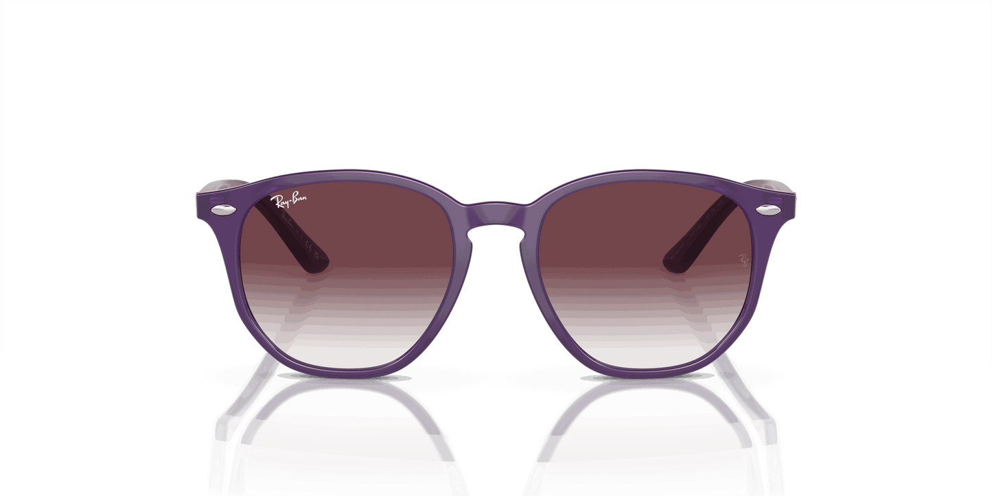 [Grey/Violet Lenses, Polished Opal Violet Frame]