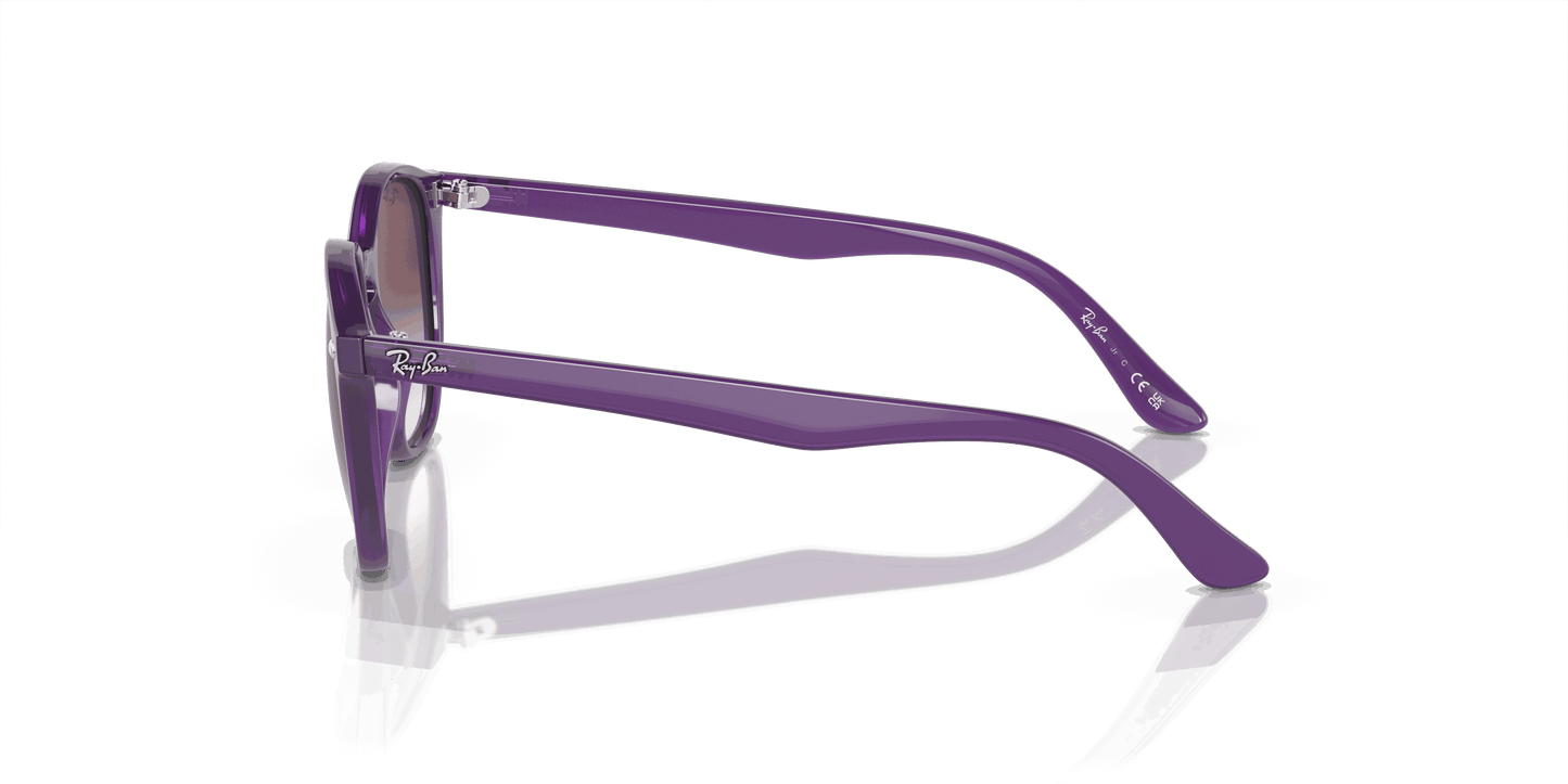 [Grey/Violet Lenses, Polished Opal Violet Frame]