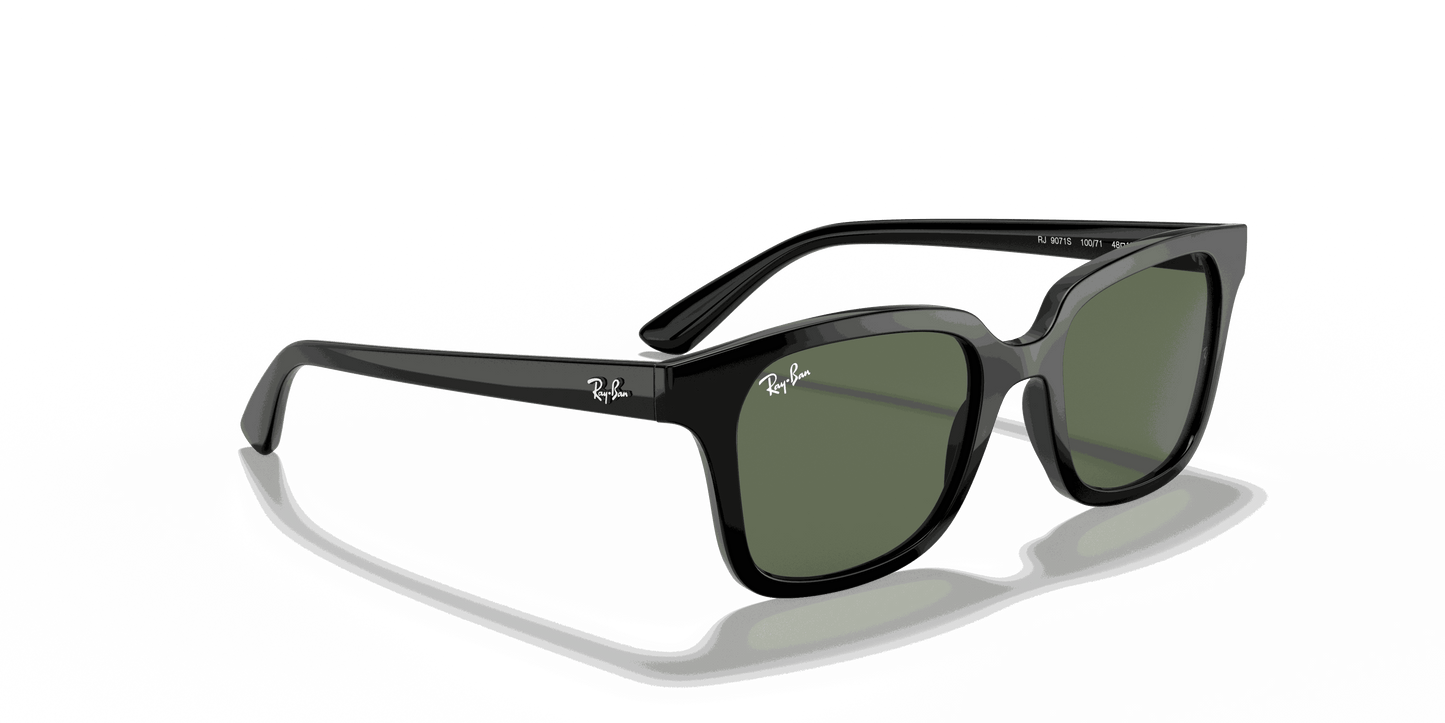 [Dark Green Lenses, Polished Black Frame]