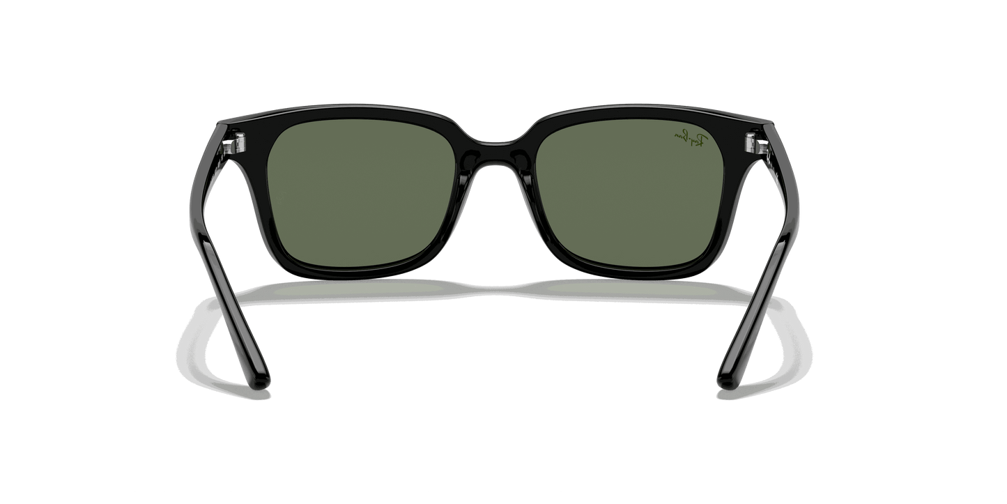 [Dark Green Lenses, Polished Black Frame]