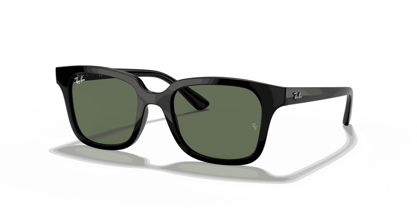 [Dark Green Lenses, Polished Black Frame]