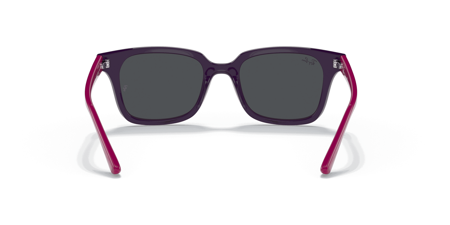 [Dark Grey Lenses, Polished Purple Frame]