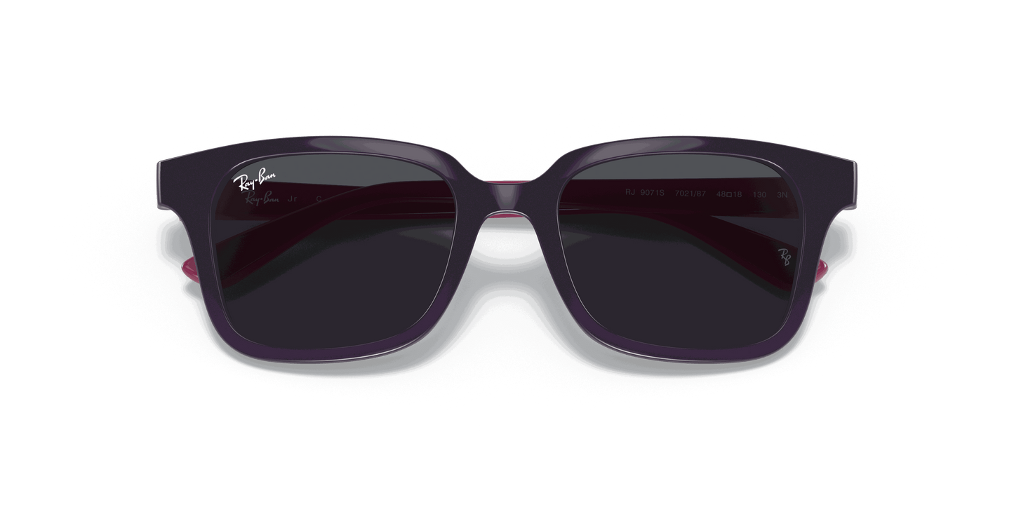 [Dark Grey Lenses, Polished Purple Frame]