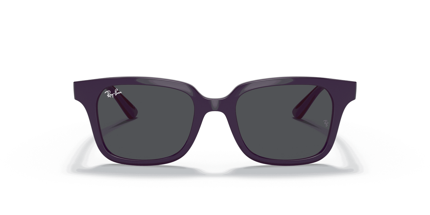 [Dark Grey Lenses, Polished Purple Frame]