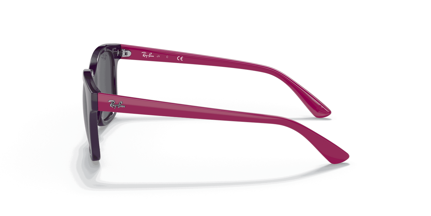 [Dark Grey Lenses, Polished Purple Frame]