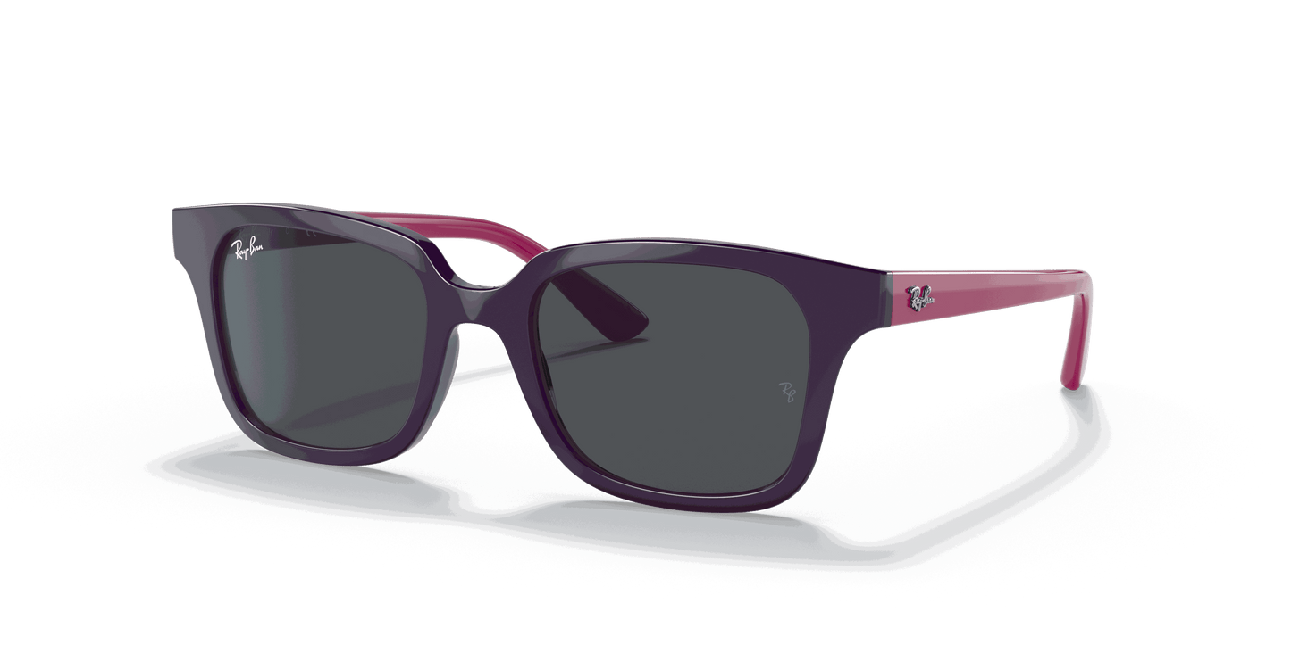 [Dark Grey Lenses, Polished Purple Frame]