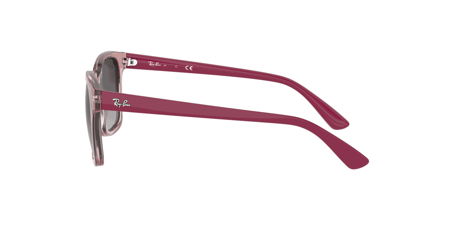 [Grey Lenses, Polished Transparent Pink Frame]