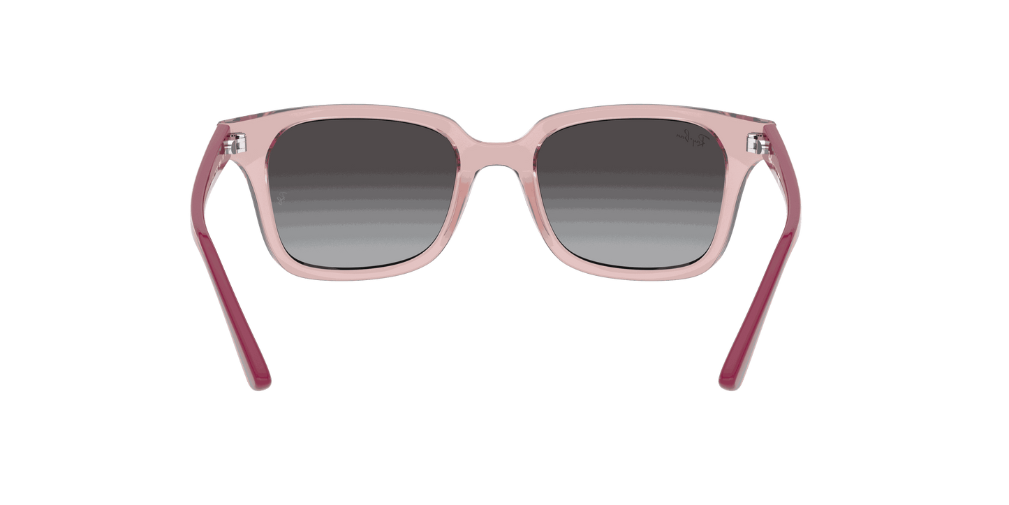 [Grey Lenses, Polished Transparent Pink Frame]