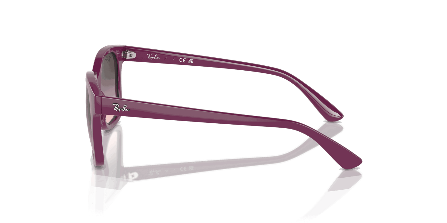 [Pink Grey Lenses, Polished Cherry Frame]