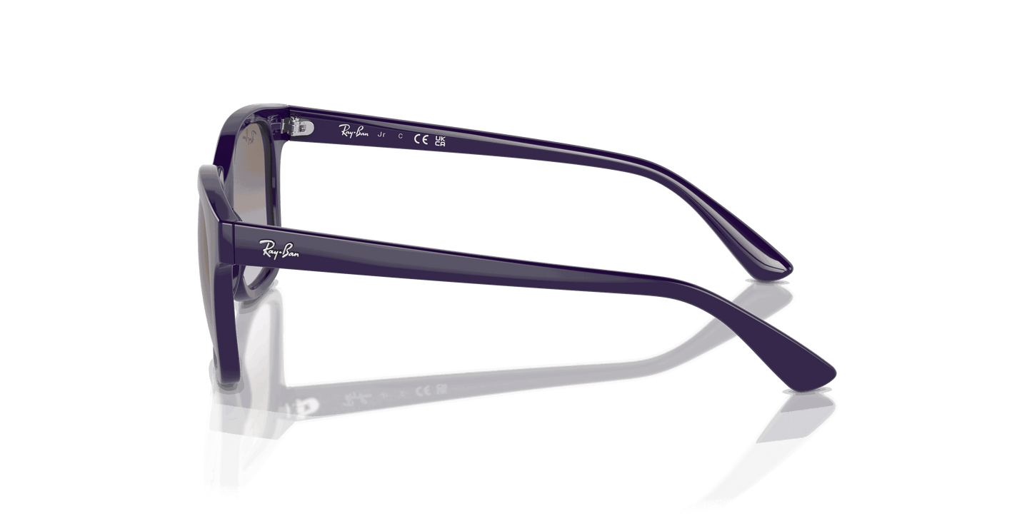 [Lillac Light Grey Lenses, Polished Violet Frame]